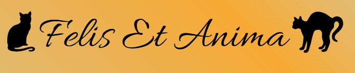 Felis Et Anima
