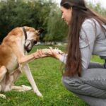 Die 10 besten Hundeschulen in Berlin