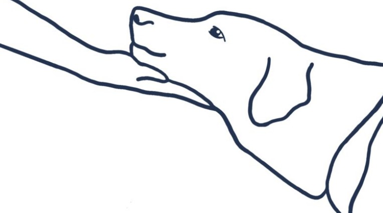 Freie Hundeschule Berlin
