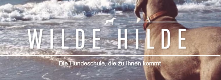 Hundeschule Wilde Hilde Hundeschulen in Berlin