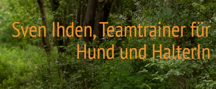 Hundetrainer Sven Ihden Hundeschulen in Berlin