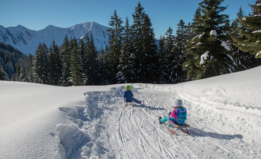 Schlittenfahren und Rodeln im Schnee